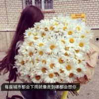 堇色安年女孩网名