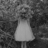 花的英文网名和含义