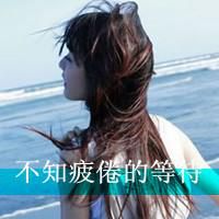 2025年女生专属熊猫主题英文网名精选