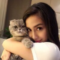 感情喂了狗：2025年网络情感宣泄与自我疗愈新趋势