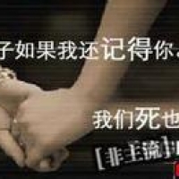 qq图像网名
