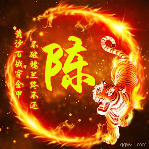 老虎姓氏微信头像