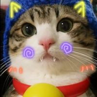 2023年新年头像可爱