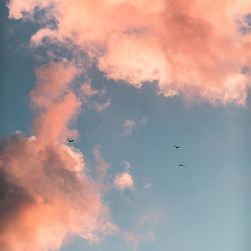 风景图片头像唯美