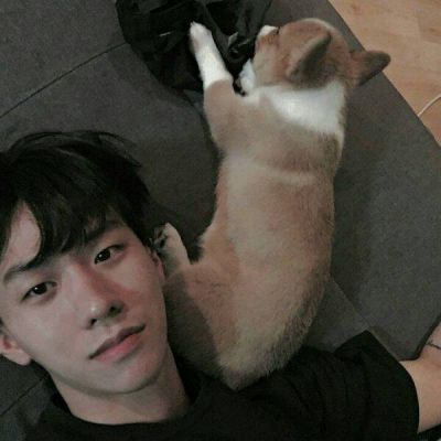 冷系动物男生头像
