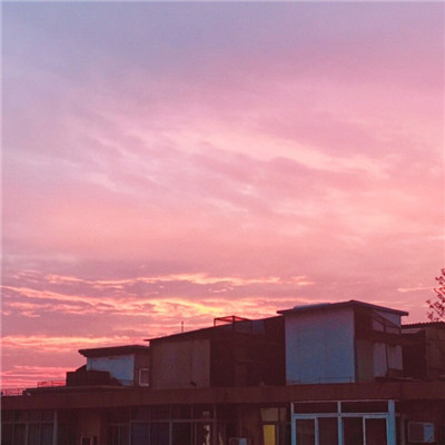 全胜征程2025：共赴巅峰之约