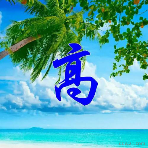 微信名看女生网名