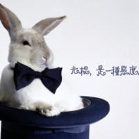 2023冰墩墩头像卡通