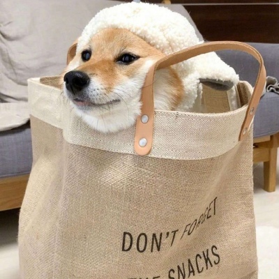 狗狗头像搞笑