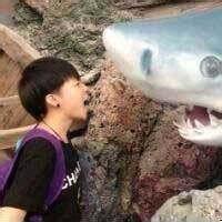 前面是英文网名