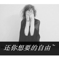 伤感樱花意境网名精选与2025年流行趋势
