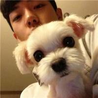 游戏网名英文翻译