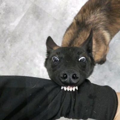 好看的群头像沙雕