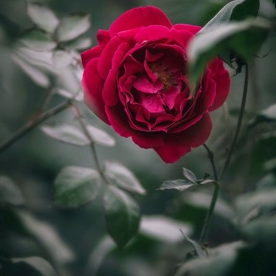 微信公众号头像尺寸