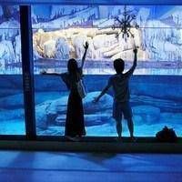 qq头像背景名字一套