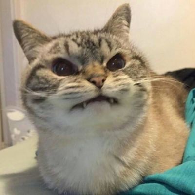 搜索什么网名好听