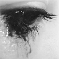 网名爱你的英文单词