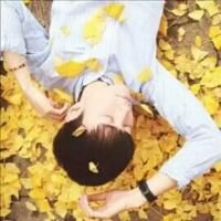 心随风飞2025：自由灵魂的网名新风尚