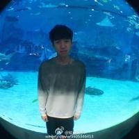 英文网名含义
