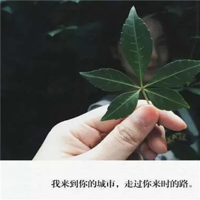 一家五口头像两女一儿