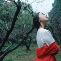 欧美霸气英文网名女