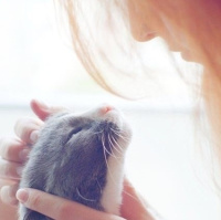 qq头像女图片大全唯美