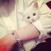 好看的群头像霸气