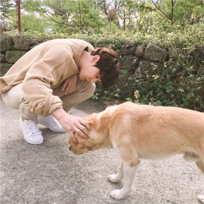 狗狗头像ins高级质感男