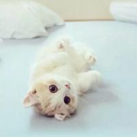 2025年暗恋网名大全：藏在昵称里的心动密码