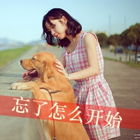 qq百家姓刘字头像