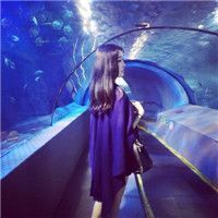 情女微信网名繁体字