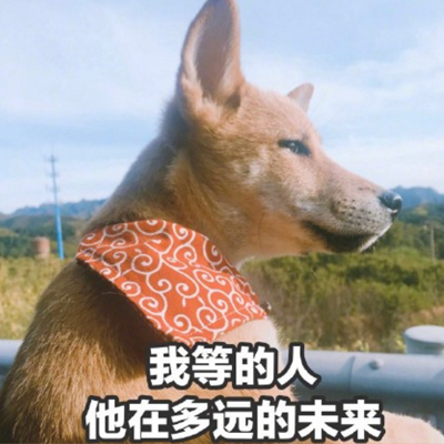 搞怪狗狗头像
