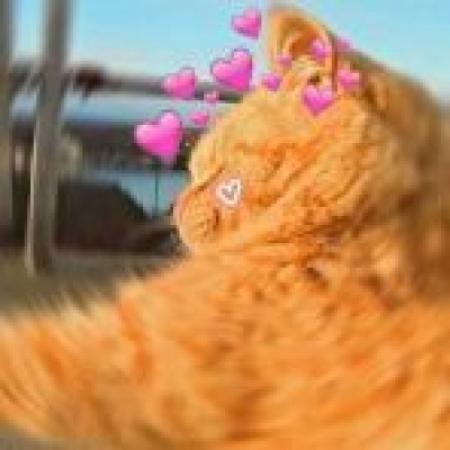 头像搞笑搞怪 逗比