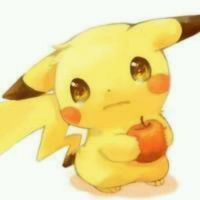 泰迪卡通图片大全可爱头像