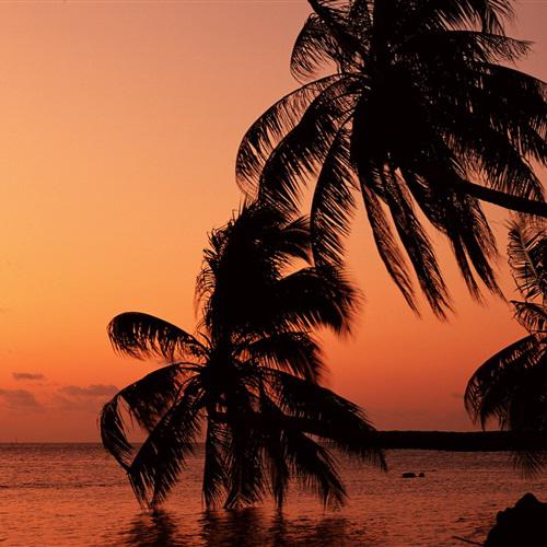 好看的头像图片大全唯美清新