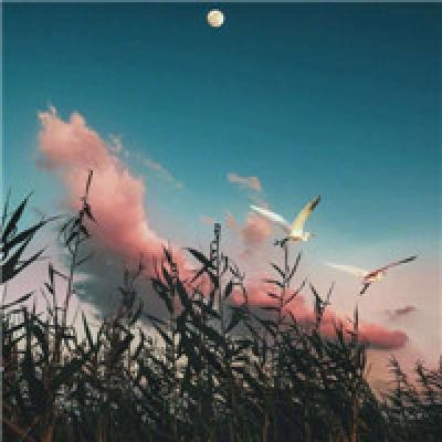 网名五个字个性网