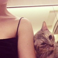 2025韩风霸气女生网名大全｜冷艳拽姐专属昵称合集