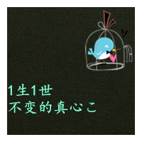 有历史底蕴与时代内涵的2025年网名精选