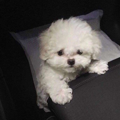 2025年帶亮字的繁體網名精選