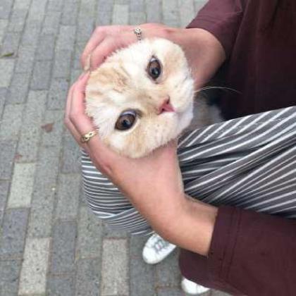 好看头像大全 壁纸