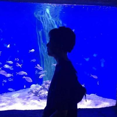 去哪里找头像最好看