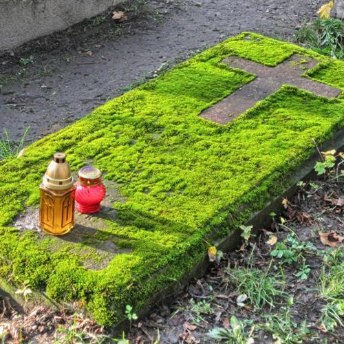 qq头像下面带绿色点