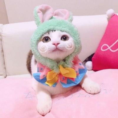 夏天情侣头像