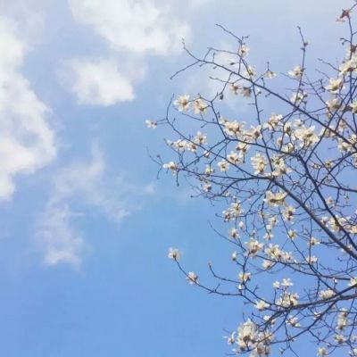 qq头像风景图片大全唯美