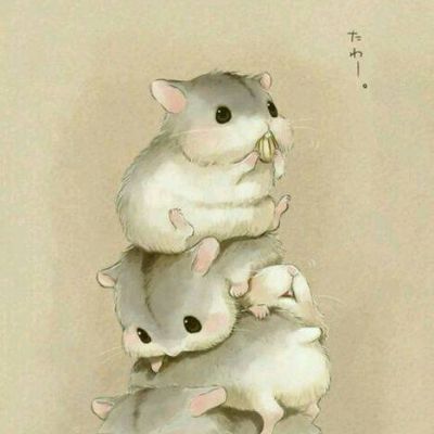 动物图片大全大图 可爱 头像