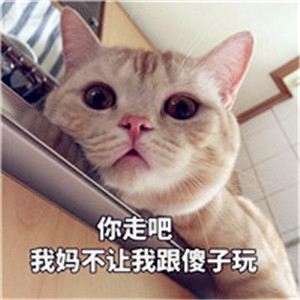 可爱小狗狗头像