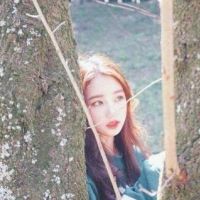 2025年带风字的女生网名推荐