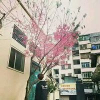 男生好听qq网名两字