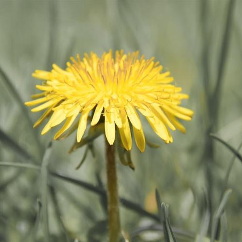 好看的山水微信头像