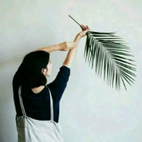 个性签名最新发布网名